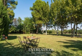 Saragossa 4617&nbsp;m² 