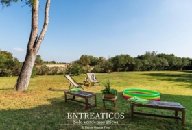 Saragossa 4617&nbsp;m² 