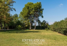 Saragossa 4617&nbsp;m² 