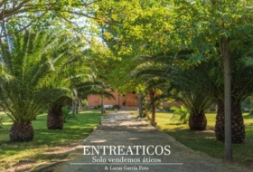 Saragossa 4617&nbsp;m² 