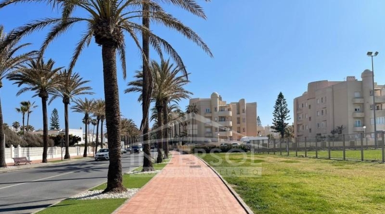 Almeria - Almeria - 127m2