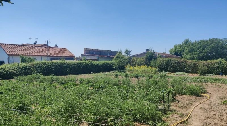 Comunidad de Madrid - El Molar - 3000m2