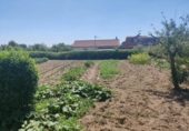 Country house with land for sale on España, El Molar, ref: TR356393 photo