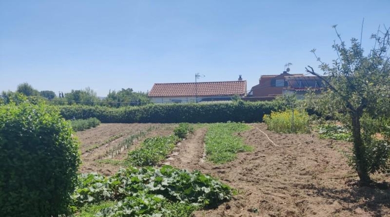 Comunidad de Madrid - El Molar - 3000m2