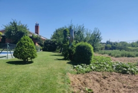 Foto 13