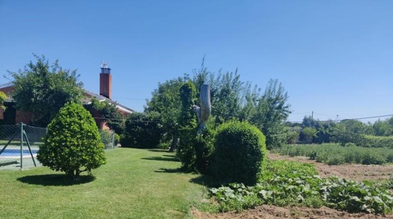 Comunidad de Madrid - El Molar - 3000m2