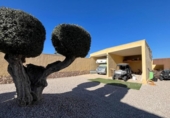 Country house with land for sale on España, Blanca, ref: TR333265 photo