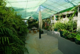 Foto 8