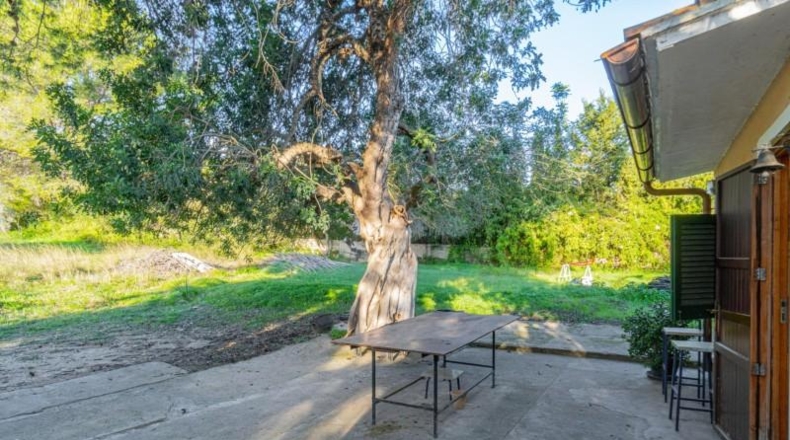 Balearic Islands - Esporlas - 2498m2
