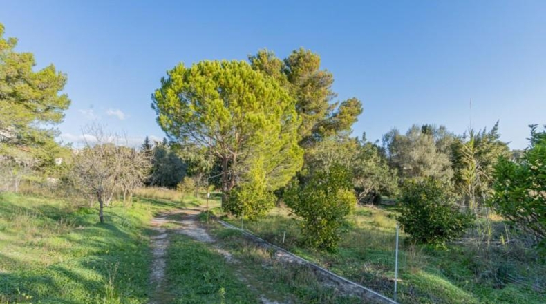 Balearic Islands - Esporlas - 2498m2