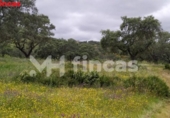 Finca rústica en venta en la España, El Castillo de las Guardas, ref: TR276097 foto