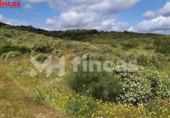 Finca rústica en venta en la España, El Castillo de las Guardas, ref: TR276097 foto