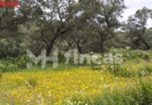 Finca rústica en venta en la España, El Castillo de las Guardas, ref: TR276097 foto