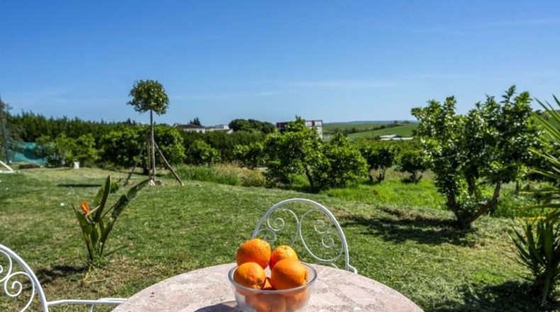 Sevilla - Cantillana - 3000m2