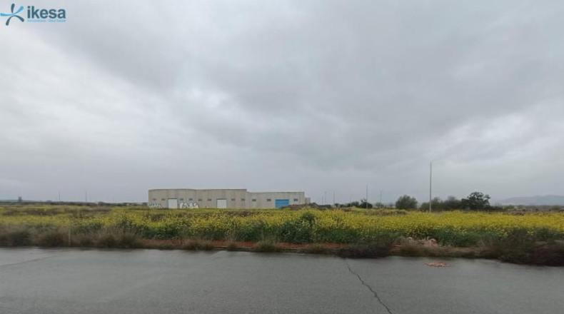 Granada - Cijuela - 4092m2