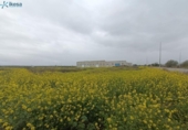 Suelo urbano en venta en la España, Cijuela, ref: TR129129 foto