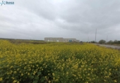 Suelo urbano en venta en la España, Cijuela, ref: TR129129 foto