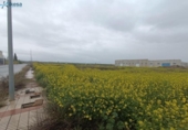 Suelo urbano en venta en la España, Cijuela, ref: TR129129 foto