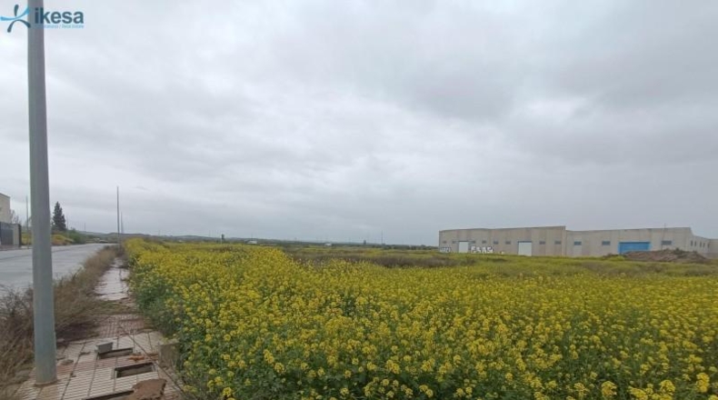 Granada - Cijuela - 4092m2