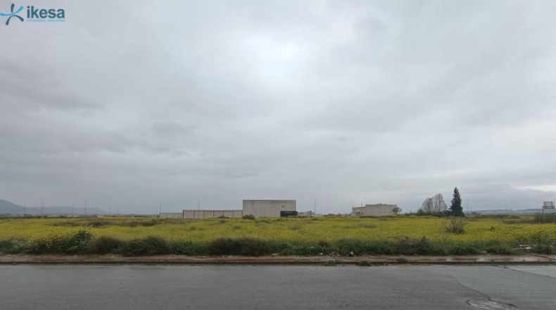 Granada - Cijuela - 4092m2
