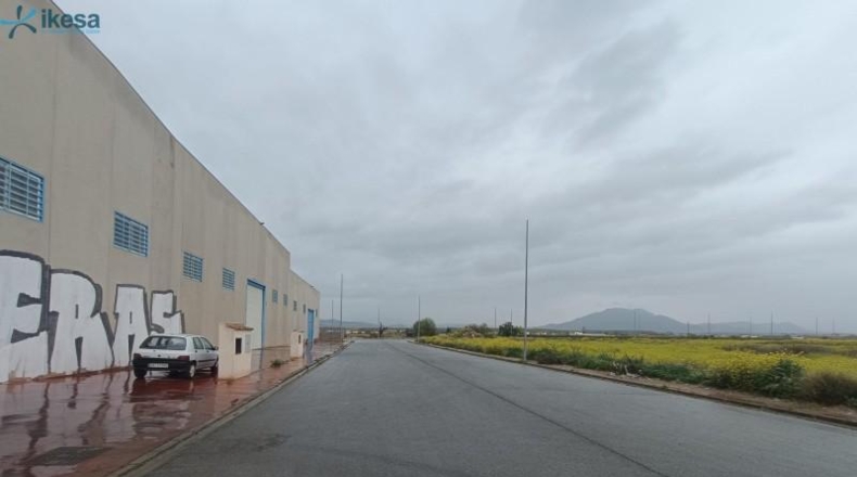 Granada - Cijuela - 4092m2