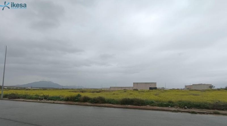 Granada - Cijuela - 4092m2