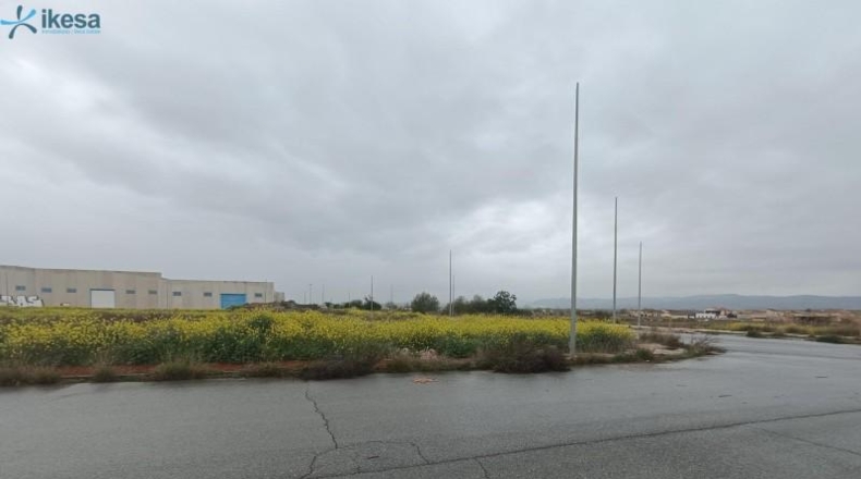 Granada - Cijuela - 4092m2