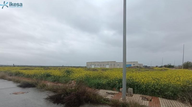 Granada - Cijuela - 4092m2
