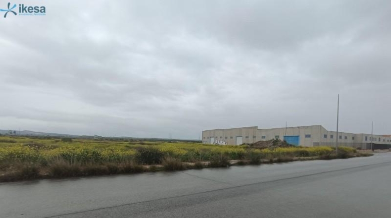 Granada - Cijuela - 4092m2