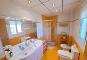 Detached villa with land for sale on España, Alberic, ref: TR267573 photo