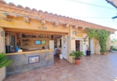 Detached villa with land for sale on España, Alberic, ref: TR267573 photo