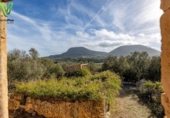 Casa de campo con terreno en venta en la España, Algaida, ref: TR399214 foto