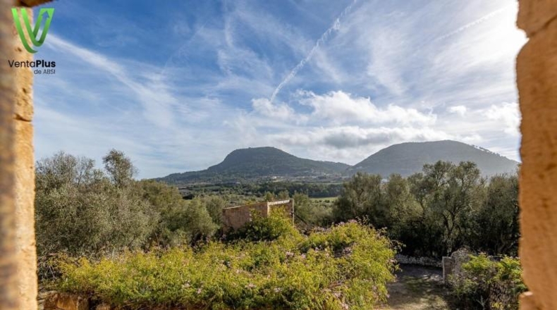 Illes Balears - Algaida - 1368m2