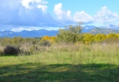 Suelo urbano en venta en la España, Llubí, ref: TR362565 foto