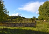 Suelo urbano en venta en la España, Llubí, ref: TR362565 foto