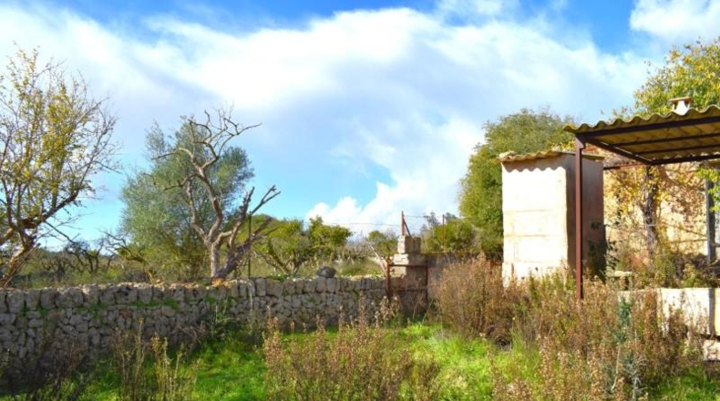 Islas Baleares - Llubí - 9189m2