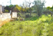Suelo urbano en venta en la España, Llubí, ref: TR362565 foto