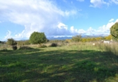 Suelo urbano en venta en la España, Llubí, ref: TR362565 foto