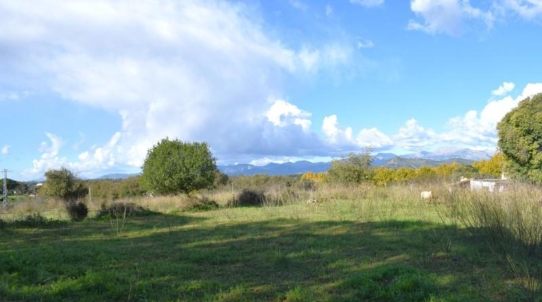 Islas Baleares - Llubí - 9189m2