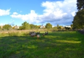 Suelo urbano en venta en la España, Llubí, ref: TR362565 foto