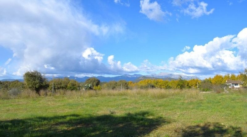 Islas Baleares - Llubí - 9189m2