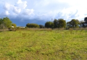 Suelo urbano en venta en la España, Llubí, ref: TR362565 foto