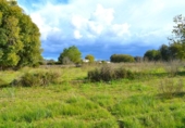 Suelo urbano en venta en la España, Llubí, ref: TR362565 foto