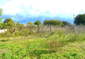 Suelo urbano en venta en la España, Llubí, ref: TR362565 foto