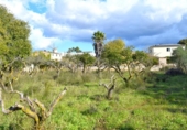 Suelo urbano en venta en la España, Llubí, ref: TR362565 foto
