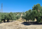 Земля на продажу у города Lucena Фото