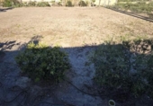Chalet independiente con terreno en venta en la España, Águilas, ref: TR412952 foto