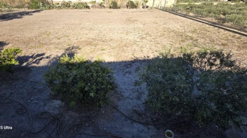 Murcia - Àguiles - 5570m2