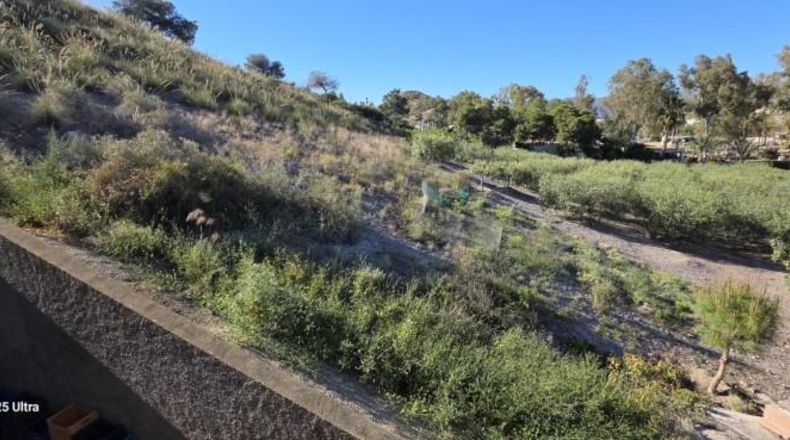 Murcia - Àguiles - 5570m2