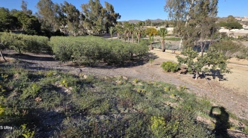 Murcia - Àguiles - 5570m2